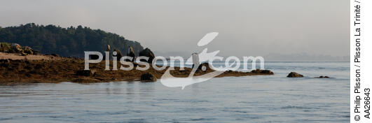 Er-Lannig dans le Golfe du Morbihan - © Philip Plisson / Plisson La Trinité / AA26643 - Nos reportages photos - Er-Lannic