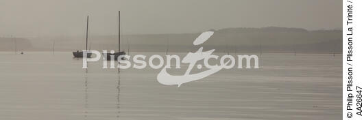 Fog on the Gulf of Morbihan - © Philip Plisson / Plisson La Trinité / AA26647 - Photo Galleries - Morbihan