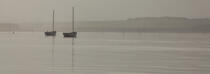 Fog on the Gulf of Morbihan © Philip Plisson / Plisson La Trinité / AA26647 - Photo Galleries - Morbihan