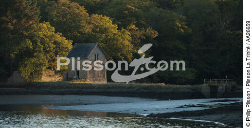 Dans le Golfe de Morbihan. - © Philip Plisson / Plisson La Trinité / AA26659 - Photo Galleries - Morbihan
