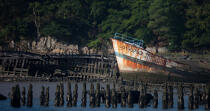 Wreck on the Blavet. © Philip Plisson / Plisson La Trinité / AA26664 - Photo Galleries - Boat graveyard