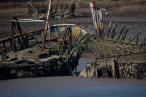 Wreck on the Blavet. © Philip Plisson / Plisson La Trinité / AA26670 - Photo Galleries - Boat graveyard