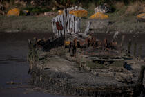 Wreck on the Blavet. © Philip Plisson / Plisson La Trinité / AA26677 - Photo Galleries - Boat graveyard