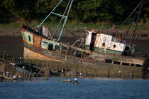 Wreck on the Blavet. © Philip Plisson / Plisson La Trinité / AA26685 - Photo Galleries - Morbihan