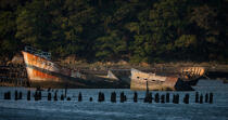 Wreck on the Blavet. © Philip Plisson / Plisson La Trinité / AA26687 - Photo Galleries - Boat graveyard