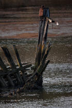 Wreck on the Blavet. © Philip Plisson / Plisson La Trinité / AA26693 - Photo Galleries - Boat graveyard