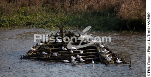 Wreck on the Blavet. - © Philip Plisson / Plisson La Trinité / AA26699 - Photo Galleries - Blavet [The River of]