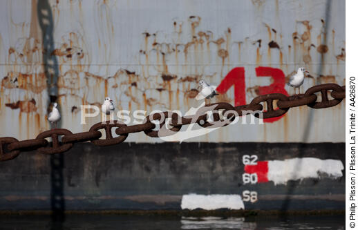Epave de bateau sur l'Aulne. - © Philip Plisson / Plisson La Trinité / AA26870 - Nos reportages photos - Mouette