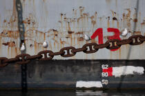 Epave de bateau sur l'Aulne. © Philip Plisson / Plisson La Trinité / AA26870 - Nos reportages photos - De Brest à Loctudy