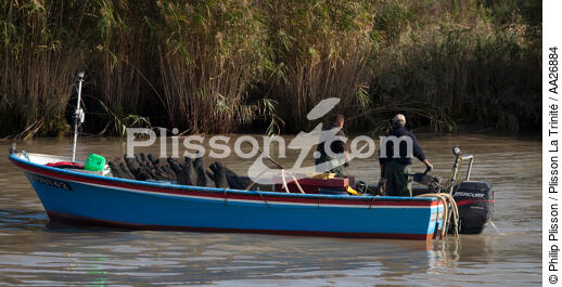 La Loire - © Philip Plisson / Plisson La Trinité / AA26884 - Nos reportages photos - De Piriac à la pointe Saint-Gildas