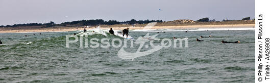 surfing on the beach Plouharnel. - © Philip Plisson / Plisson La Trinité / AA26908 - Photo Galleries - Surfing