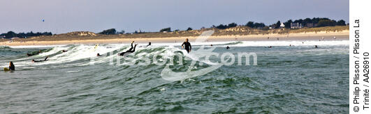 surfing on the beach Plouharnel. - © Philip Plisson / Plisson La Trinité / AA26910 - Photo Galleries - Morbihan