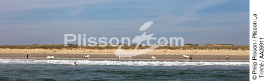 surfing on the beach Plouharnel. - © Philip Plisson / Plisson La Trinité / AA26911 - Photo Galleries - Beach