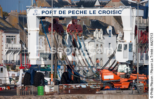 le Croisic - © Philip Plisson / Plisson La Trinité / AA27013 - Nos reportages photos - Grue