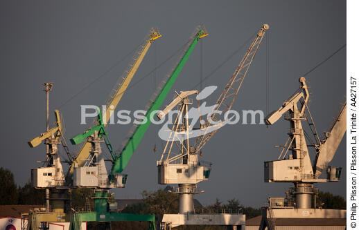 Cranes on the quays of Nantes - © Philip Plisson / Plisson La Trinité / AA27157 - Photo Galleries - From Piriac to Saint-Gildas Point