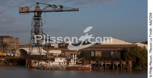 On the quays of Nantes - © Philip Plisson / Plisson La Trinité / AA27249 - Photo Galleries - Crane