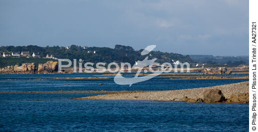 Port-Blanc - © Philip Plisson / Plisson La Trinité / AA27321 - Nos reportages photos - Rocher