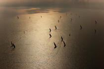 Sur le lac Burullus, Egypte ©  / Plisson La Trinité / AA27374 - Nos reportages photos - Lumière