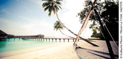 The Maldives - © Guillaume Plisson / Plisson La Trinité / AA27376 - Photo Galleries - Palm tree