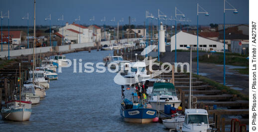 Le port dess Brochets - © Philip Plisson / Plisson La Trinité / AA27387 - Photo Galleries - Vendée