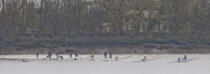 Le Mascaret sur la Dodogne © Philip Plisson / Plisson La Trinité / AA27540 - Nos reportages photos - Surf
