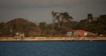 Les cabanes de l'île Madame © Philip Plisson / Plisson La Trinité / AA27628 - Nos reportages photos - Ile [17]