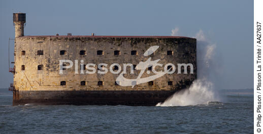 Fort-Boyard - © Philip Plisson / Plisson La Trinité / AA27637 - Photo Galleries - From Ré island to La Coubre Point