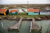 La Tremblade port © Philip Plisson / Plisson La Trinité / AA27759 - Photo Galleries - Oyster farming