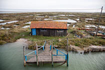 La Tremblade port © Philip Plisson / Plisson La Trinité / AA27761 - Photo Galleries - Oyster farming