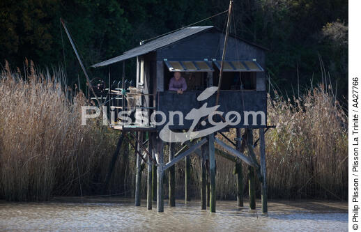 Charente river - © Philip Plisson / Plisson La Trinité / AA27766 - Photo Galleries - Fishing equipment