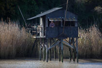 Charente river © Philip Plisson / Plisson La Trinité / AA27766 - Photo Galleries - Square fishing net