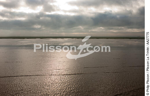 Anse de L'Aiguillon - © Philip Plisson / Plisson La Trinité / AA27775 - Photo Galleries - Vendée