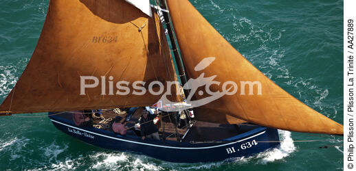 La Semaine du Golfe 2011. - © Philip Plisson / Plisson La Trinité / AA27889 - Photo Galleries - Sloop sardine fishing boat