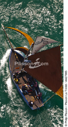 La Semaine du Golfe 2011. - © Philip Plisson / Plisson La Trinité / AA27985 - Photo Galleries - Sloop sardine fishing boat
