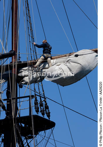 L'Etoile du Roy pendant La Semaine du Golfe 2011 - © Philip Plisson / Plisson La Trinité / AA28220 - Nos reportages photos - Les Grands voiliers