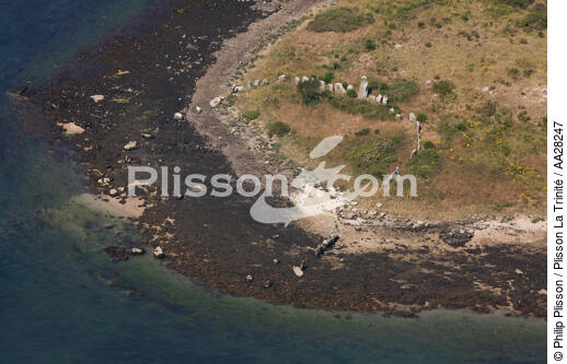 Er-Lannig dans le Golfe du Morbihan - © Philip Plisson / Plisson La Trinité / AA28247 - Nos reportages photos - Mégalithe