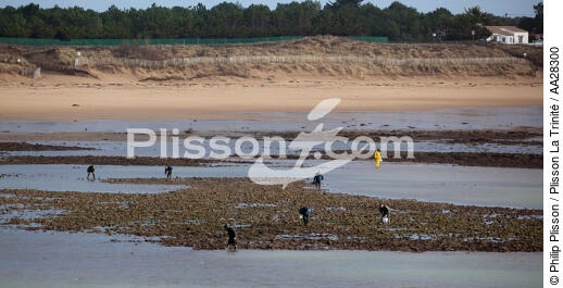 La-Tranche-sur-mer - © Philip Plisson / Plisson La Trinité / AA28300 - Nos reportages photos - Pays de Loire