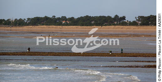 La-Tranche-sur-mer - © Philip Plisson / Plisson La Trinité / AA28301 - Nos reportages photos - Pays de Loire