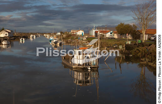 Le Chenal de Marennes - © Philip Plisson / Plisson La Trinité / AA28308 - Nos reportages photos - Reflet