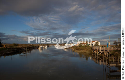 Le Chenal de Marennes - © Philip Plisson / Plisson La Trinité / AA28310 - Photo Galleries - Oyster farming