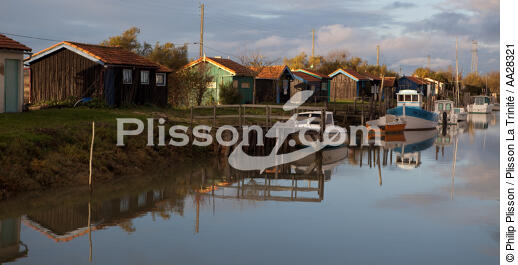 Le Chenal de Marennes - © Philip Plisson / Plisson La Trinité / AA28321 - Photo Galleries - Oyster farming