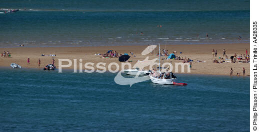 Le Bûcheron sand banc - © Philip Plisson / Plisson La Trinité / AA28335 - Photo Galleries - Leisure