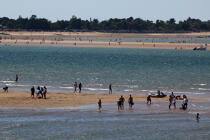 Le Bûcheron sand banc © Philip Plisson / Plisson La Trinité / AA28341 - Photo Galleries - Charente Maritime