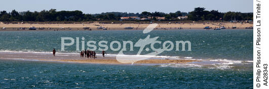 Le Bûcheron sand banc - © Philip Plisson / Plisson La Trinité / AA28343 - Photo Galleries - Ré [island of]