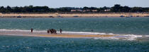 Le Bûcheron sand banc © Philip Plisson / Plisson La Trinité / AA28343 - Photo Galleries - Charente Maritime