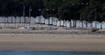 Noirmontier,le bois de la Chaise © Philip Plisson / Plisson La Trinité / AA28422 - Nos reportages photos - Cabine de plage
