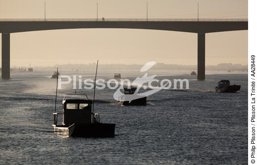 Pont d'Oléron - © Philip Plisson / Plisson La Trinité / AA28449 - Nos reportages photos - De l'île de Ré à la pointe de la Coubre