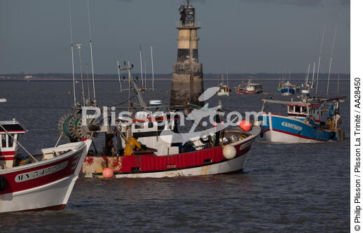 Pêche à la pétoncle,a la tour de Juliar - © Philip Plisson / Plisson La Trinité / AA28450 - Nos reportages photos - Balise