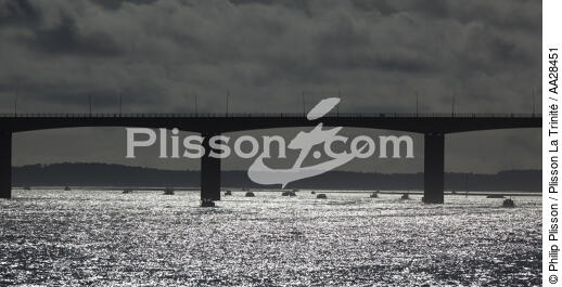 Pont d'Oléron - © Philip Plisson / Plisson La Trinité / AA28451 - Nos reportages photos - De l'île de Ré à la pointe de la Coubre