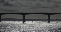 Oléron bridge © Philip Plisson / Plisson La Trinité / AA28451 - Photo Galleries - Oyster farming
